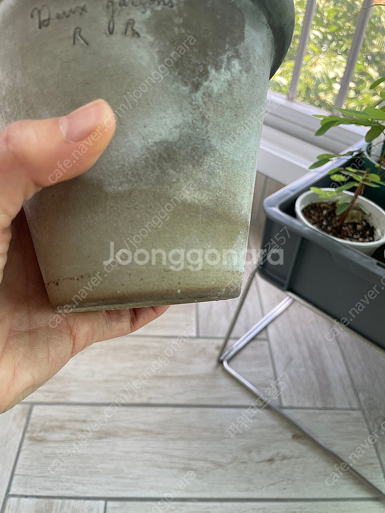 두갸르송 링팟 택포--2