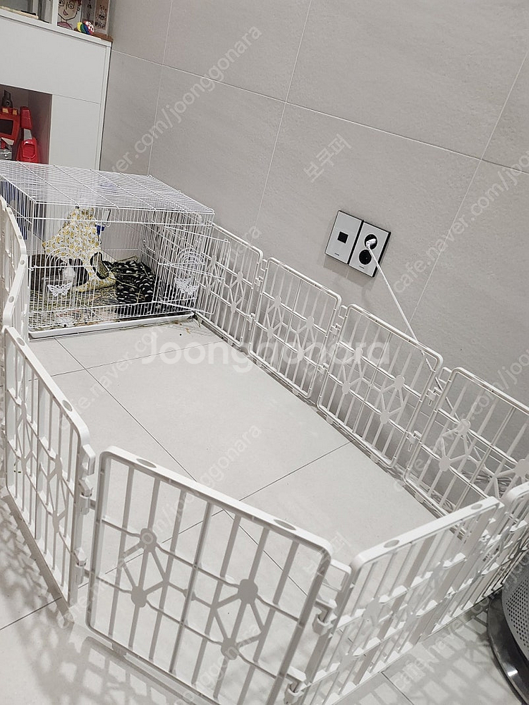 토끼, 강아지, 새장, 각종 반려동물 케이지, 집,--3