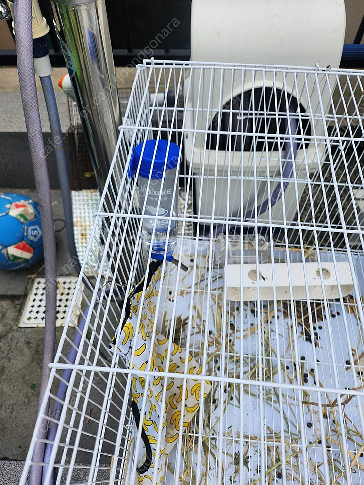 토끼, 강아지, 새장, 각종 반려동물 케이지, 집,--5