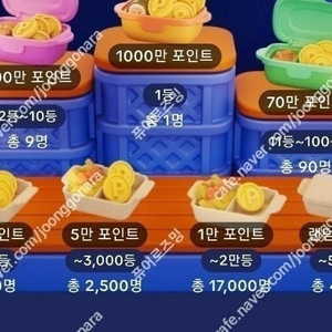 야시장 미접3개->일괄1500원 판매