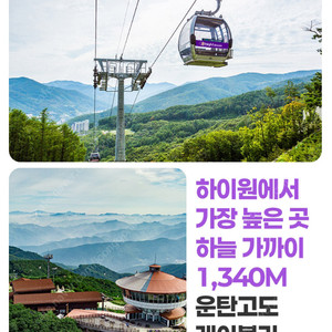 하이원 운탄고도 케이블카 4매 1.9만