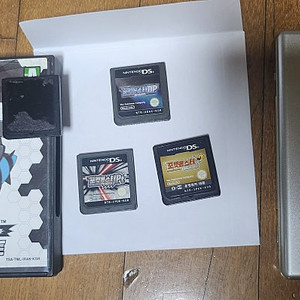 닌텐도 ds , 포켓몬칩