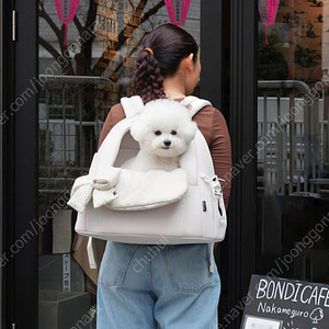 쏘오옥 프론트백 라지 L 베이지 팝니다