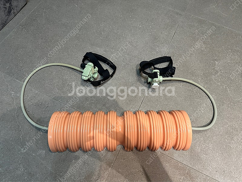 뷰릿 베이직바 및 티칭밴드--0