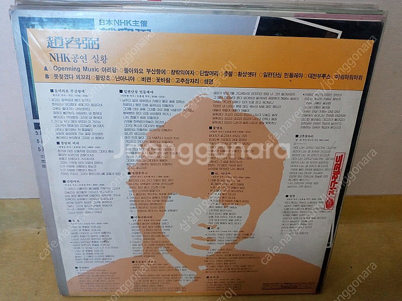 LP판 팝니다.(문주란,정태춘,조용필 등등)(택포)--2
