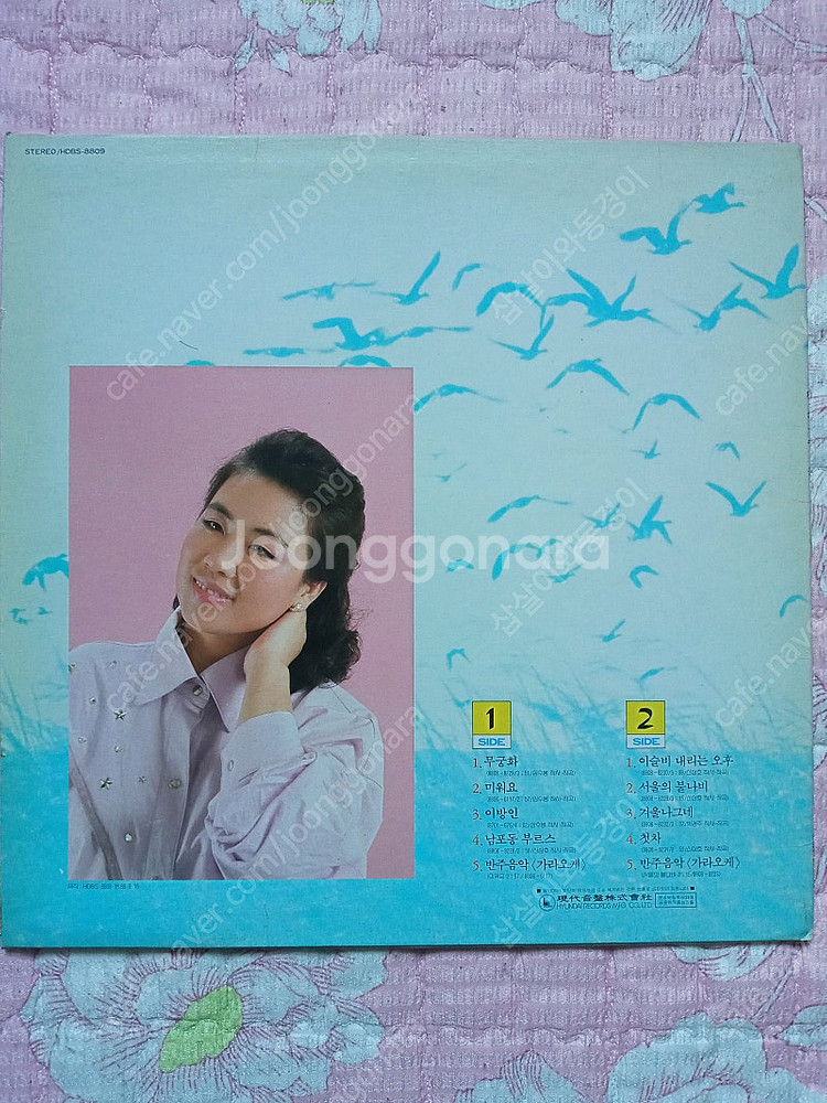 LP판 팝니다.(문주란,정태춘,조용필 등등)(택포)--3