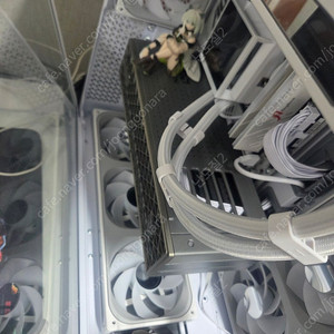 부산 9070xt니트로 판매or 화이트교환