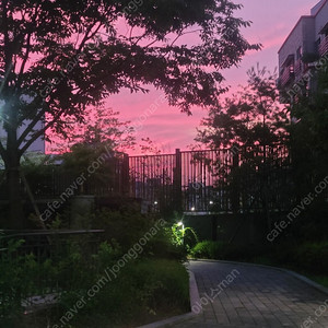 해병대 공병우의 신품