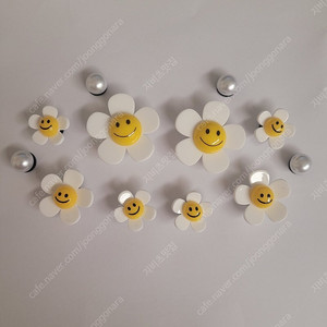 지비츠) 스마일데이지 세트 12P