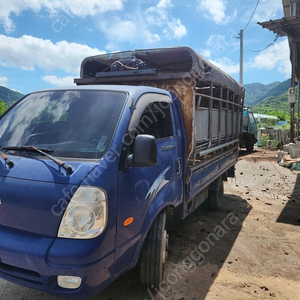 1톤소차 호루 소탑 가축운반(포터.봉고)