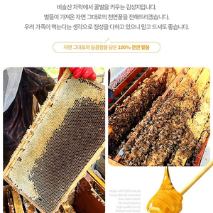 양봉농장에서 자연꿀(설탕x) 팝니다 도매 대량정리