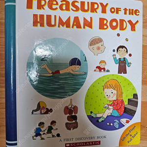 스콜라스틱 조작북 영어원서 (신체관련)