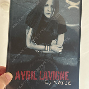 에이브릴라빈 공연 DVD