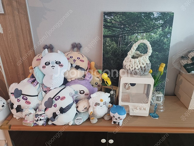 대형인형 / 치이카와 / 먼작귀 / 우사기 / 모몽가 ...--1