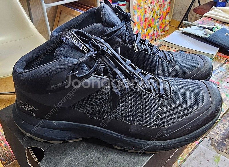 아크테릭스 에어리어스 미드 gtx 등산화(275mm) ...--1