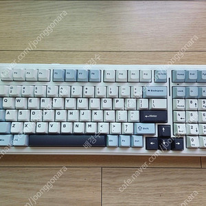 Aula F99 독거미 키보드 경해축