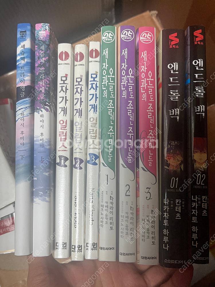 세습제트라이앵글, 모자가게 일립스, 새장관의 오늘도 졸...--0