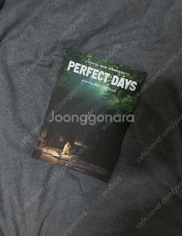 영화 퍼펙트데이즈 일본 전단지--0