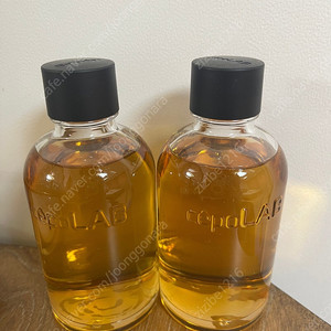 세포랩 에센스 155ml