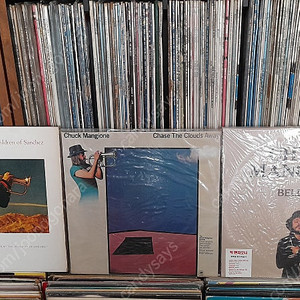 JAZZ LP - 척 맨지오니 CHUCK MANGIONE 미개봉 포함 3앨범