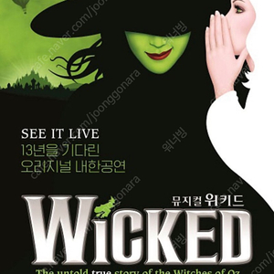 뮤지컬 <위키드> 내한공연 10/4(토) 낮공/밤공 명당좌석 2연석씩 양도합니다.