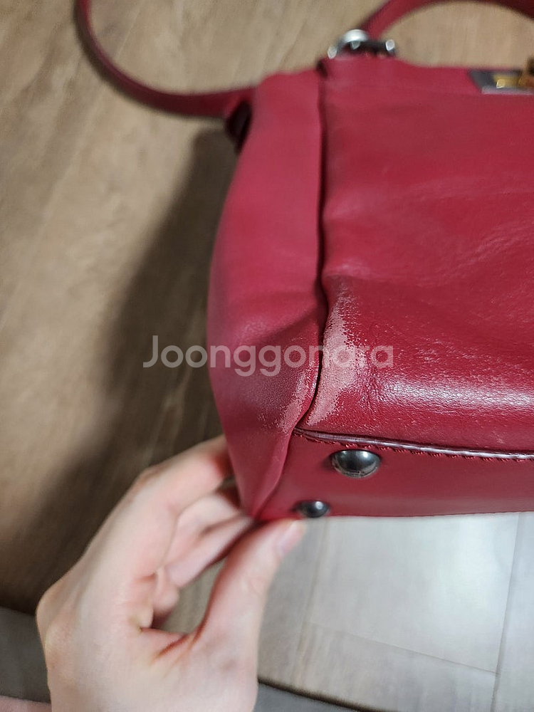펜디 피카부--2
