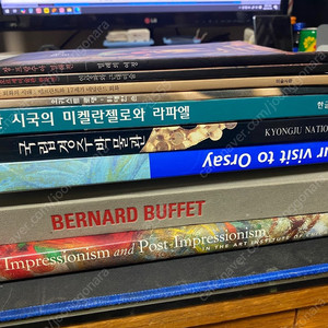 화집 모음. Orsay미술관, 미켈란젤로와 라파엘로, 베르나르 뷔페, 피카소, 로뎅, 인상파와 후기인상파, 등 대형화집포함,