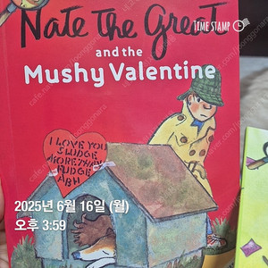 Nate the great 네잇더 그레이트29권 2만원 양천구목동