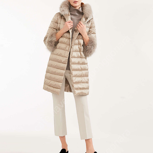 막스마라 노베프 루체컬러 36