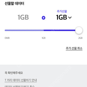SKT 데이터 2기가판매