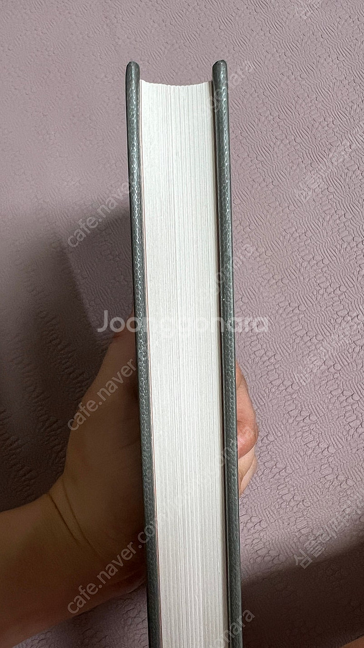폴 오스터 장편소설 바움가트너 팝니다--2