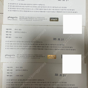 휘닉스 평창 블루캐니언 종일권
