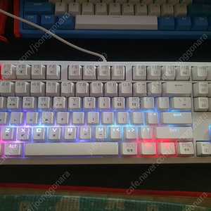 체리(CHERRY) g80-3000s 키보드(청축) 팜