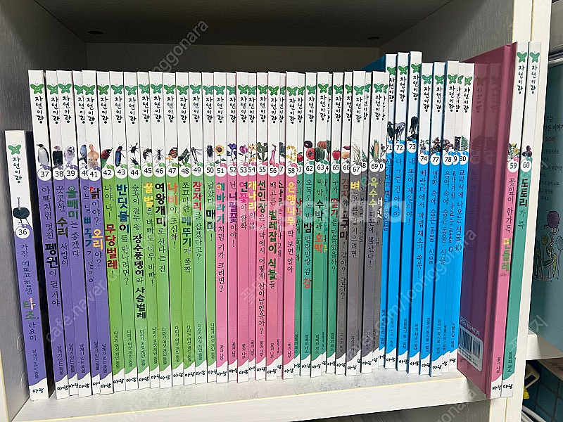 아람 자연이랑 전집 (자연관찰) 판매합니다.--1