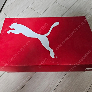 [새상품] PUMA Solaattack RCT 테니스화