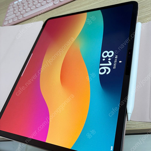 아이패드 프로 13(M4) 와이파이 512 팝니디