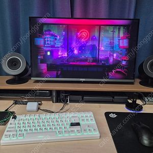 MSI 271QRX QD-OLED 360Hz 모니터