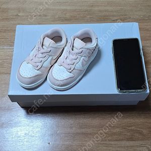 (키즈 140) 나이키 키즈 운동화, 나이키 덩크로우 오렌지 펄 / 나이키 유,아동 신발 /택포2.8