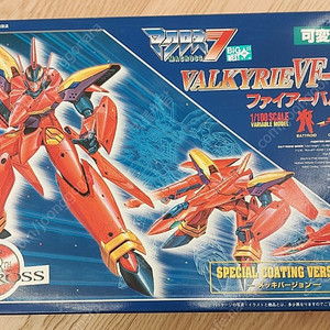 15주년 코팅 반다이 1/100 마크로스7 VF-19 파이어 발키리 택포 5.5