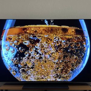 LG oled g4 55인치 TV