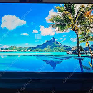 LG 올레드 48인치 c1 스탠드형 oled TV(총2100시간사용) -서울 강서구