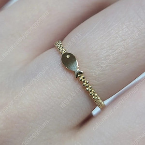 14k 반지 새상품