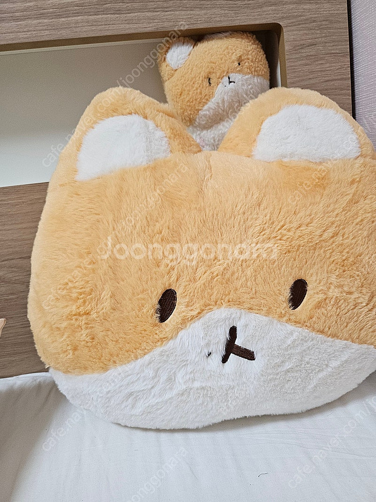 터래기 얼굴 쿠션 / 터래기 페이스 쿠션--2