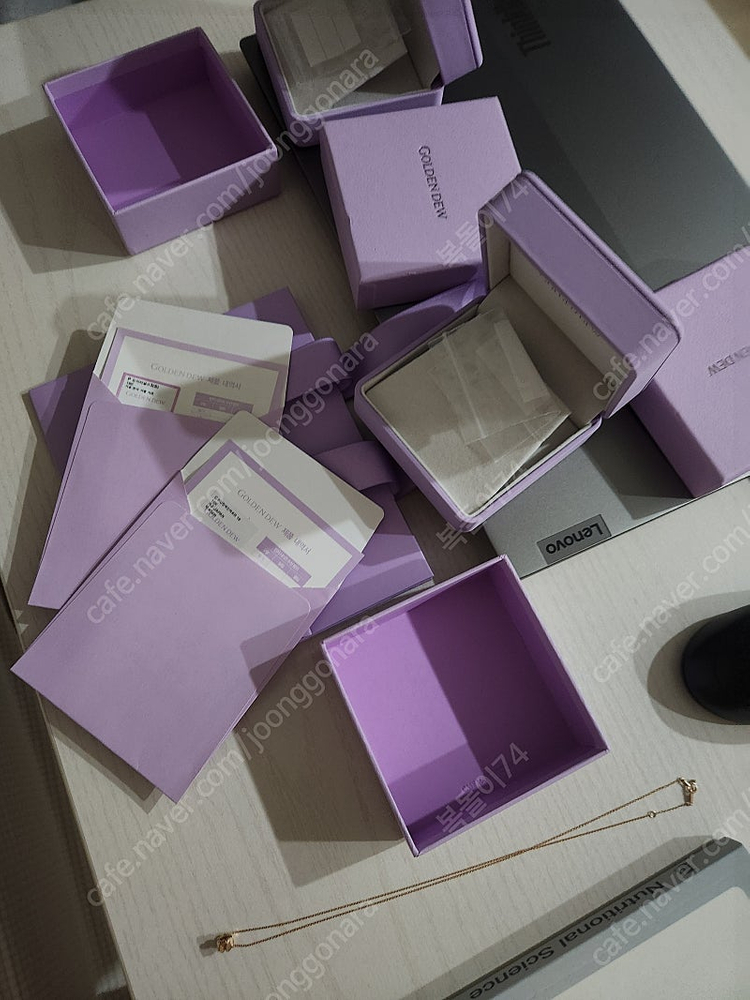 골든듀 듀이터널스스몰사이즈--2