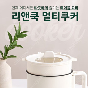 리앤쿡 트래블 멀티쿠커