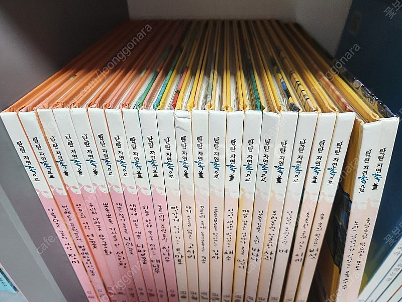 탄탄자연속으로 94권 *택포*--3