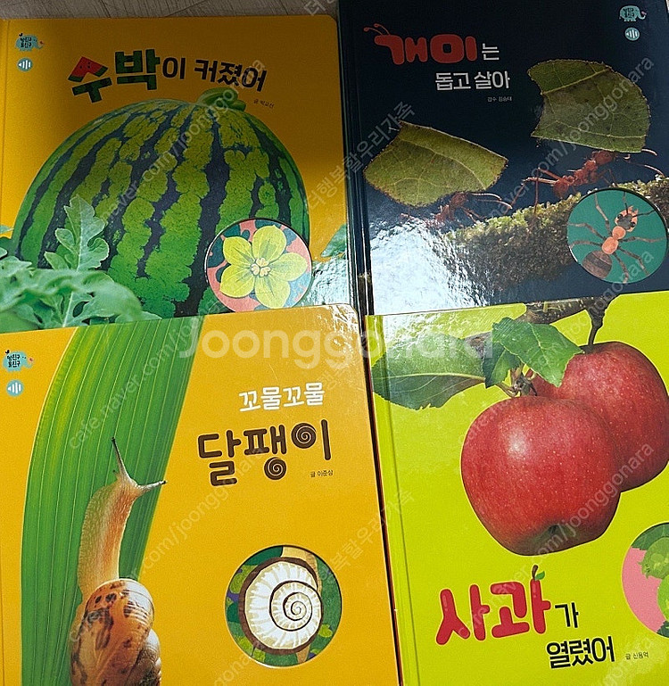 웅진 땅친구 물친구 개정판 /택포75,000--2