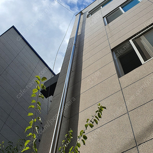 배틀휩63n 초리 구합니다