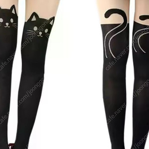 고양이 스타킹
