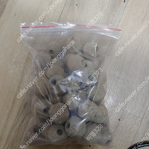 강남 열대 해수 대방출